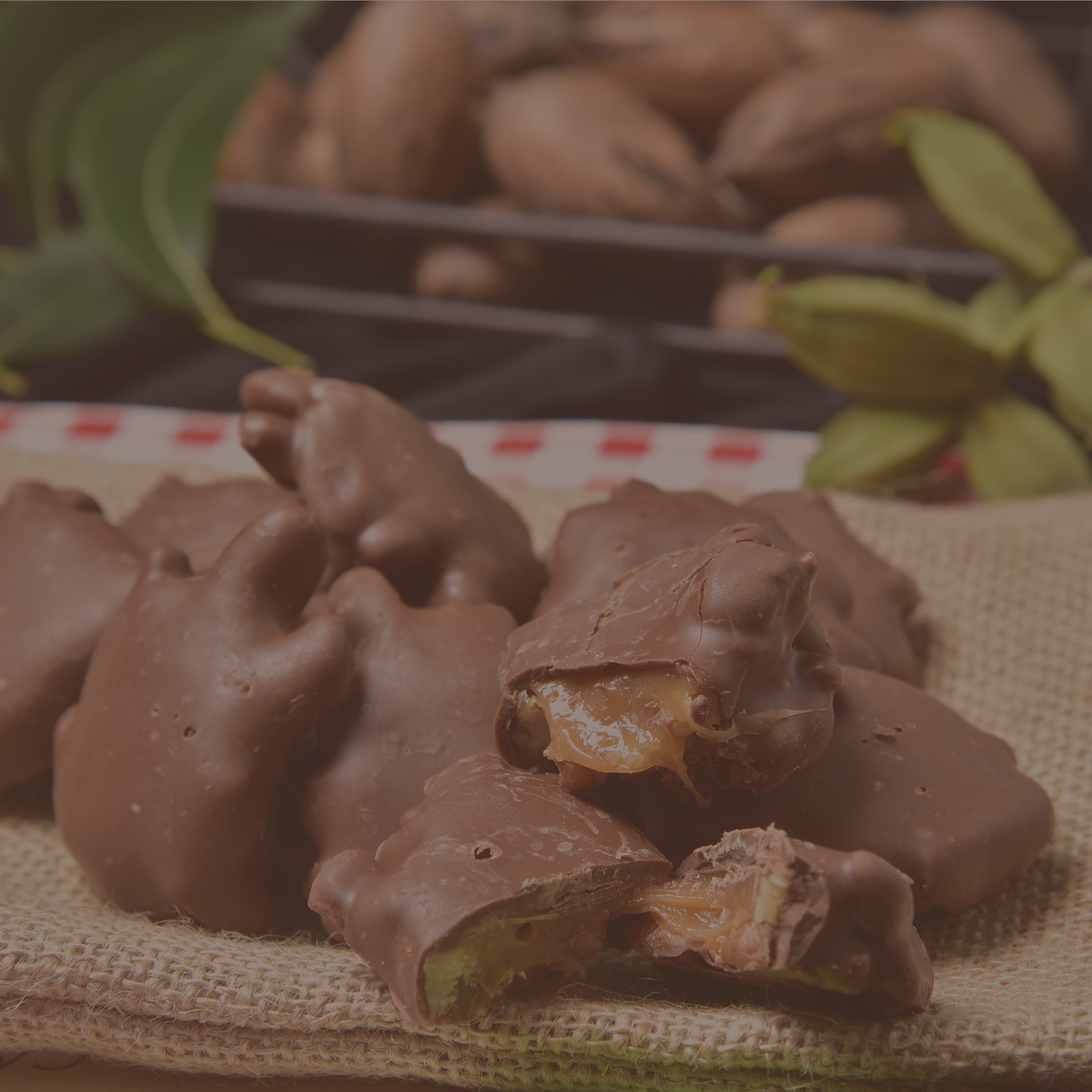 Pecan Candies