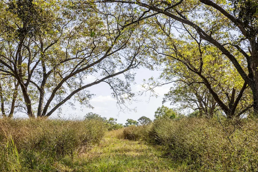 Sumter County Agriculture Tour: Koinonia Farm 4/18/26